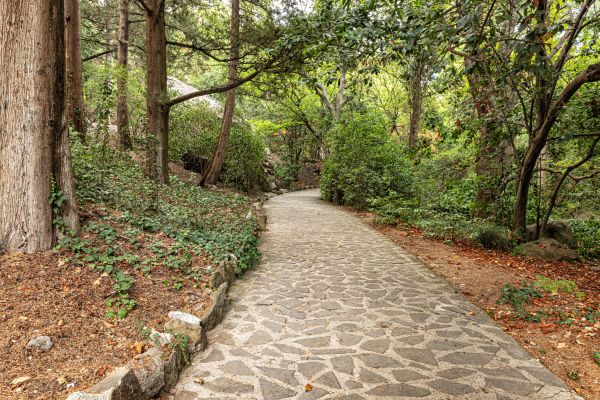 Stone Walkway Repair in Royal Oak