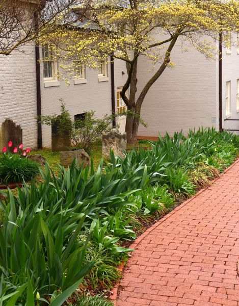 Brick Flatwork Repair in Royal Oak